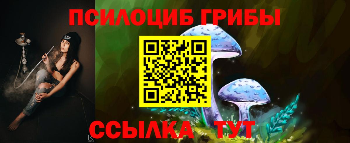 Орехово-Зуево  Псилоцибиновые грибы прущие грибы  Галлюциногенные грибы Cubensis  Вход с VPN 