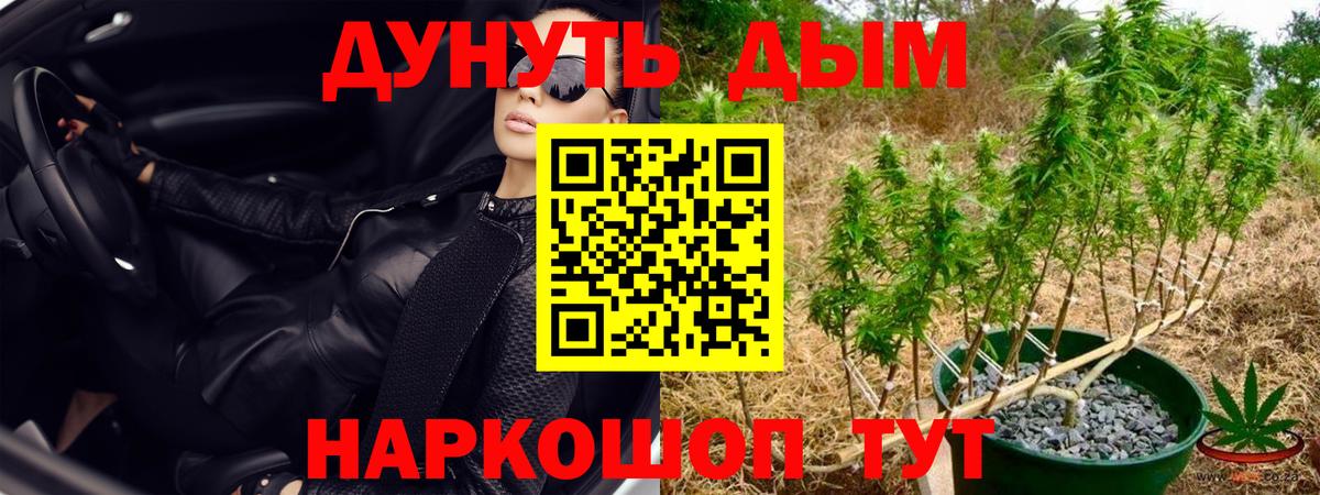Конопля конопля Орехово-Зуево